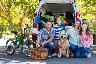 Car Insurance Solutions in Houston, TX from Steve Campbell Insurance Agency, Inc.